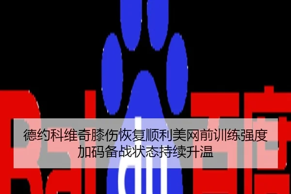 德约科维奇膝伤恢复顺利美网前训练强度加码备战状态持续升温