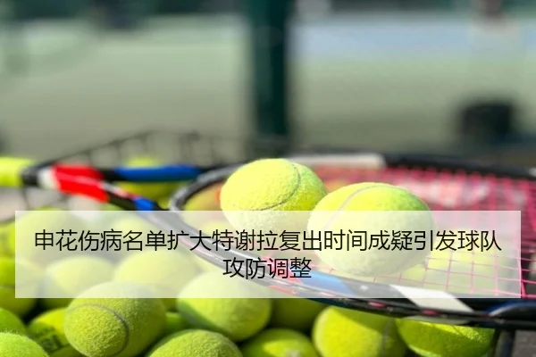 申花伤病名单扩大特谢拉复出时间成疑引发球队攻防调整